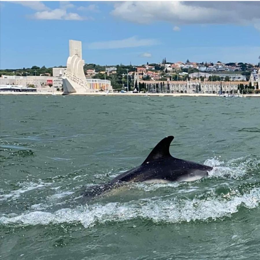 Besthomestay- Caparica Beach Lisbon Almada Eksteriør bilde